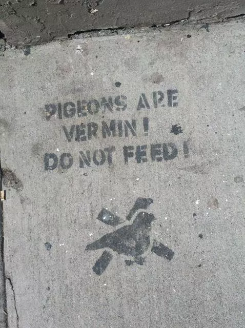 SF Tenderloin Pigeions are Vermin