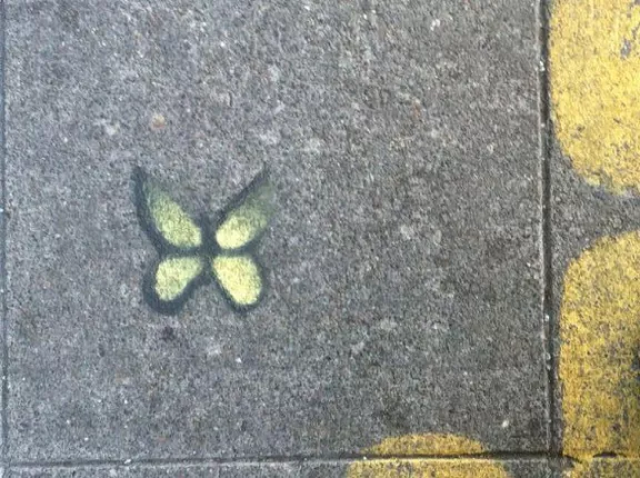SF Tenderloin butterfly