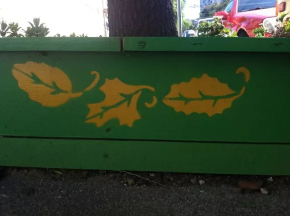 SF Hayes Valley planter box 02 leaves