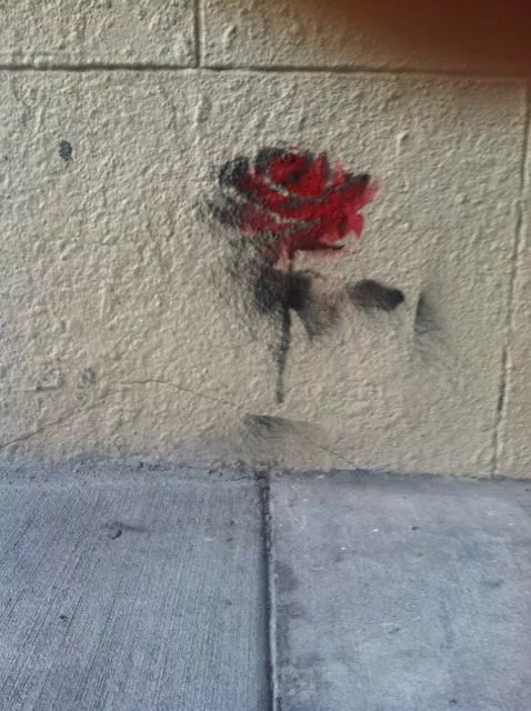 SF Hayes Valley red rose on a wall