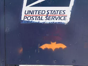 SF Castro Bat
