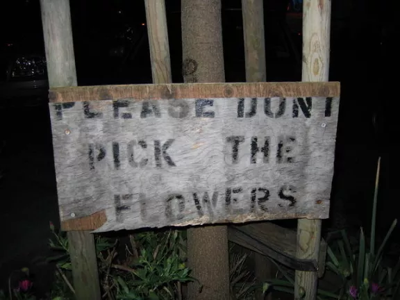 SF Castro Dont Pick Flowers