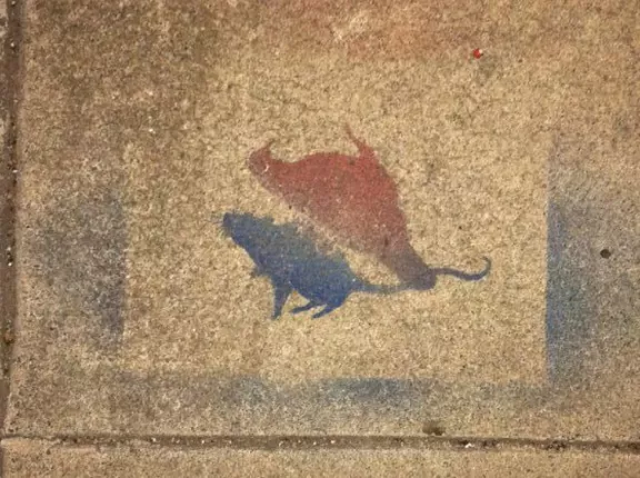 SF Mission rat and pigeon