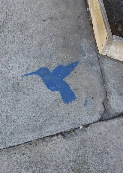 SF Mission Hummingbird 02
