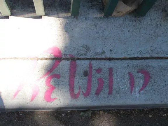 SF Mission Lilac St ReWild