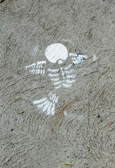 SF Mission Skeleton Bird