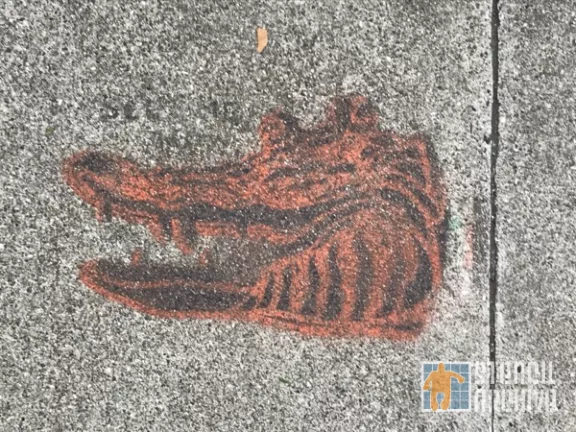 SF Mission alligator
