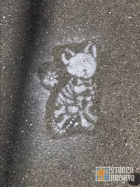 SF Mission cat skeleton