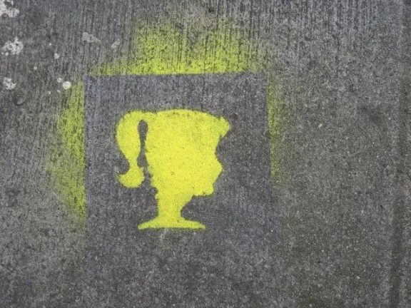 SF Mission face illusion