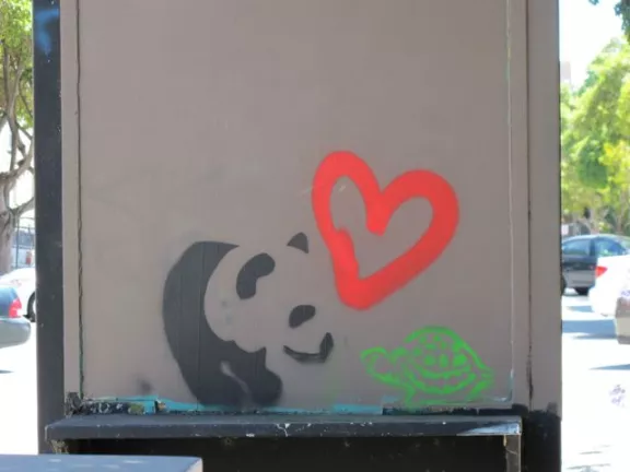 SF Mission panda turtle love