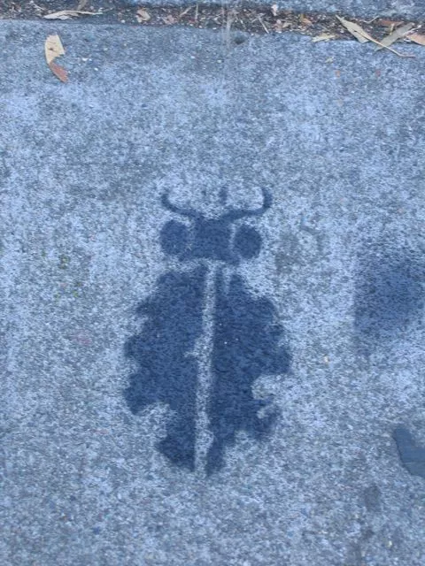 SF Mission CELLspace Open Studios bug