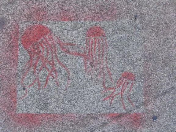 SF Mission Jelly fish