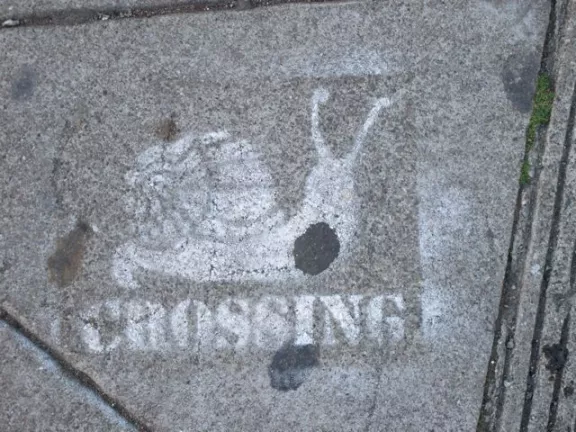 SF Mission Snail Crossing