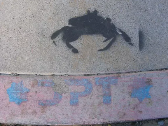 SF Mission crab