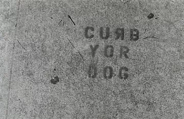 SF Mission Curb Your Dog