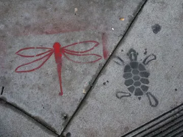 SF Mission Dragonfly Turtle