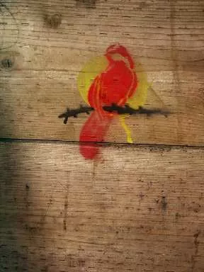 SF Mission red bird