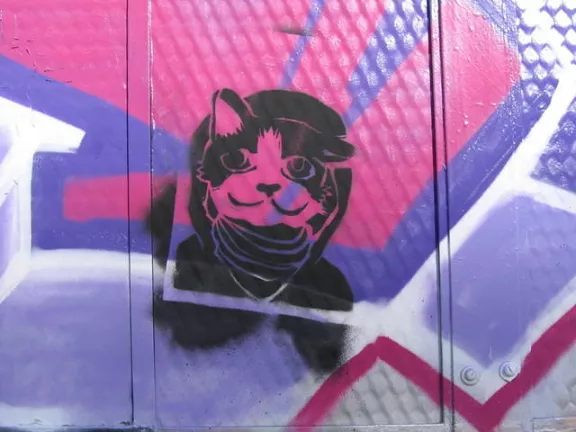SF Mission CELLspace Che Kitten