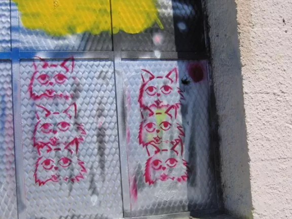 SF Mission CELLspace cats