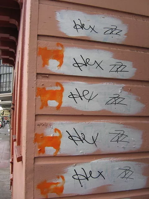 SF Mission Cats
