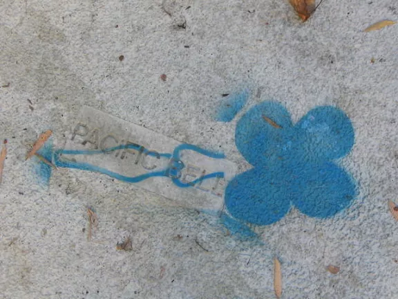 SF Mission Clover