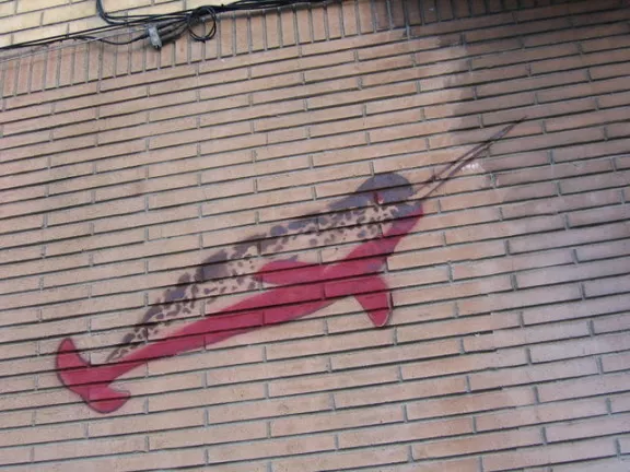 SF Mission Narwhal