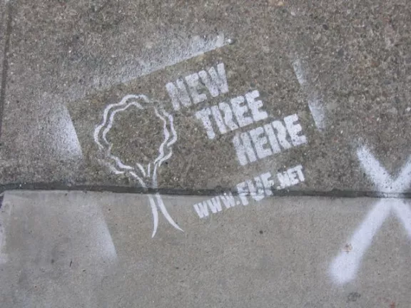 SF Mission FUF New Tree Here