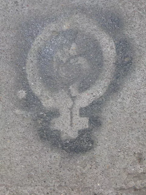 SF Mission FemPower