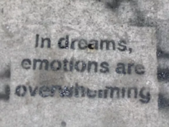 SF Mission In Dreams