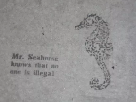 SF Mission Seahorse No One Illegal