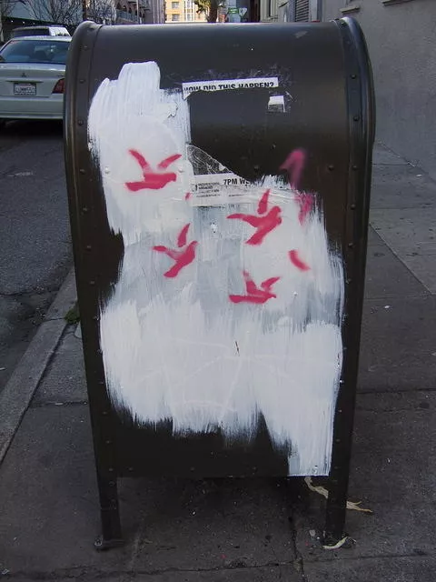 SF Mission birds