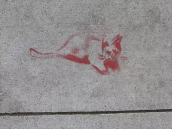 SF Mission Kitty