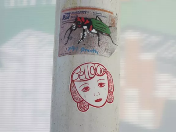 SF Valencia Nat Breath bug sticker