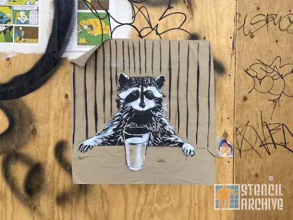 SF Valencia Raccoon having a pint