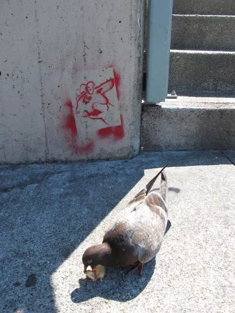 SF Valencia rabbit head in hand