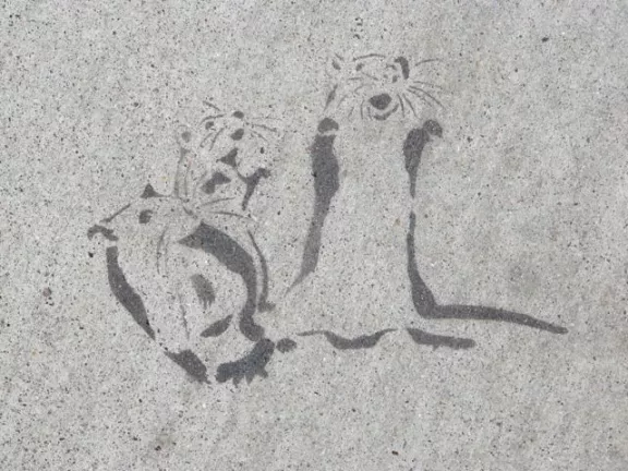SF Valencia St. rats 01