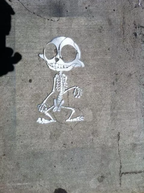 SF Valencia skeleton