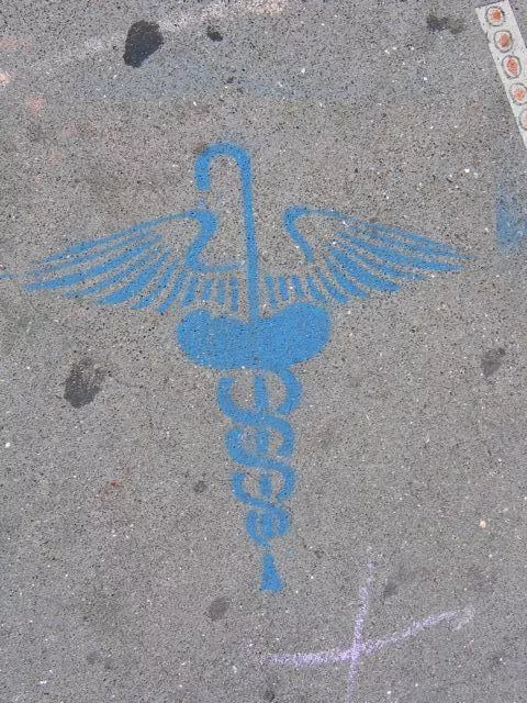 SF Valencia St. Cane caduceus