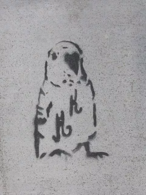 SF Valencia St. HK Parrot