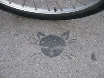 SF Valencia St. Cat