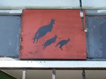 SF Valencia St. Kangaroo
