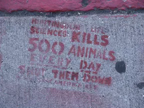 SF Valencia St. Science Kills Animals