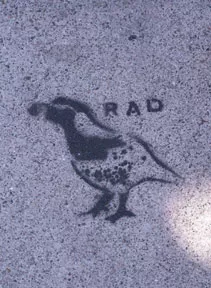 SF Valencia St. RAD