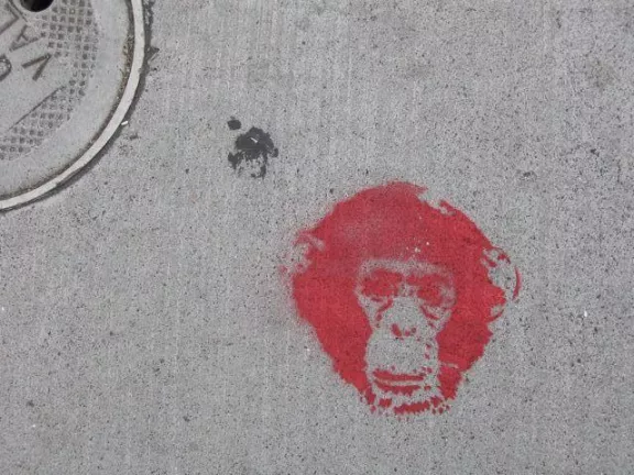 SF Valencia St. Monkey Head