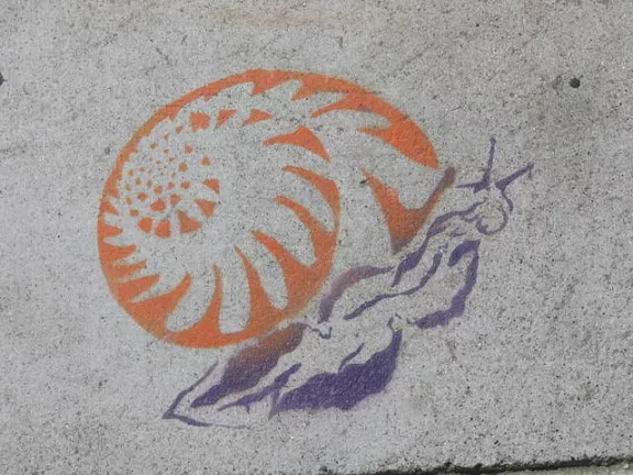 SF Valencia St. Snail