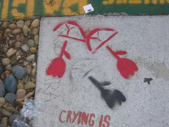 SF Valencia St. Tulip Arrows
