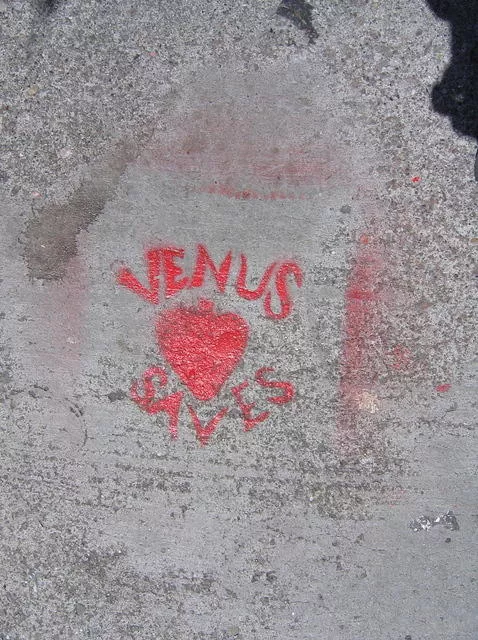 SF Valencia St. Venus Saves
