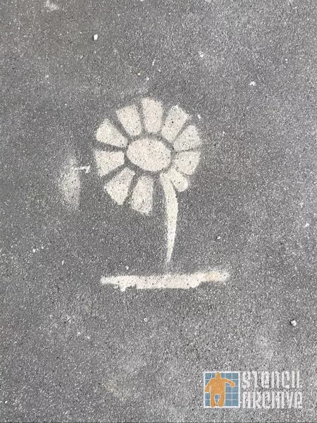 SF NoPa flower