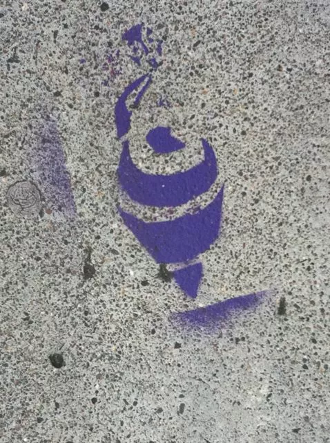 SF USF purple swirls