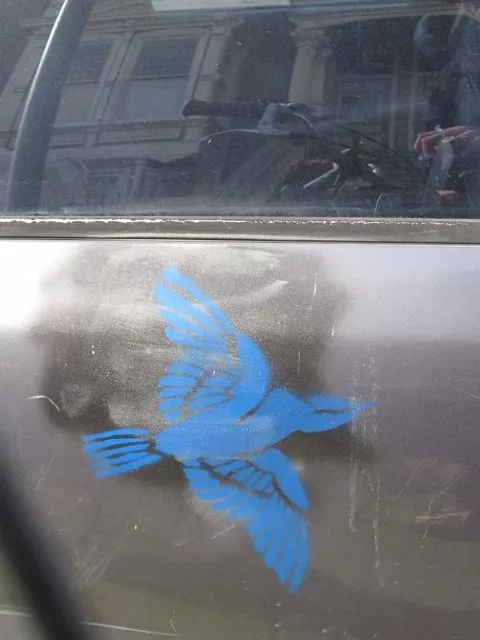 SF Western Addition bird on car